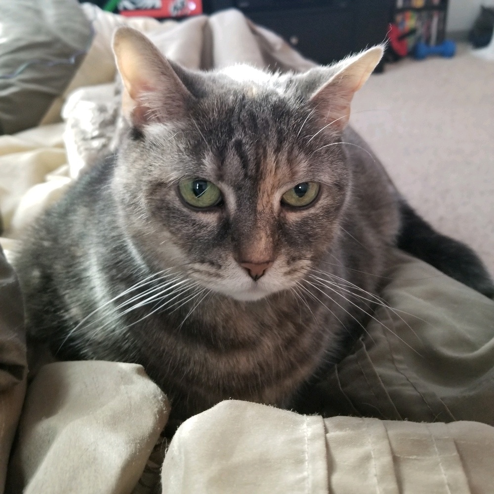 Meet your Posher, Alexis